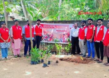 உலக செஞ்சிலுவை தினத்தை முன்னிட்டு யாழில் மரநடுகை நிகழ்வு.!