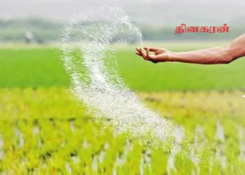 வியட்நாமிடம் இருந்து 100 மெட்ரிக் தொன் உரங்கள் இலங்கைக்கு அன்பளிப்பு!