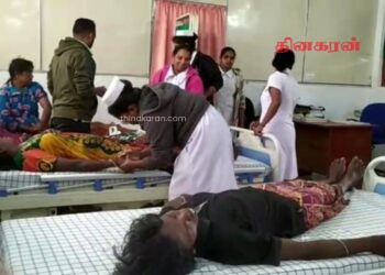 குளவிக் கொட்டுக்கு இலக்கான பெண்கள் வைத்தியசாலையில் அனுமதி.!