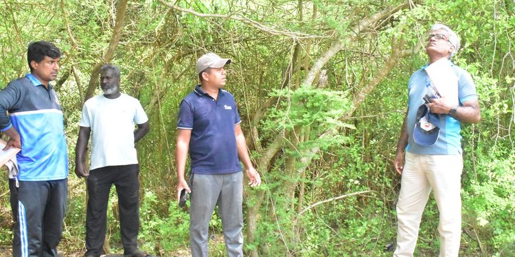 மன்னார் முந்தல் பகுதிக்கு மாவட்ட அரசாங்க அதிபர் தலைமாயிலான குழுவினர் கள விஜயம்