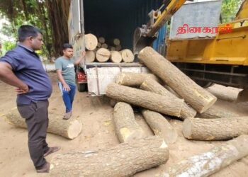 சட்டவிரோதமாக முதிரை மரக்குற்றிகளை கடத்தியவர் கைது.!