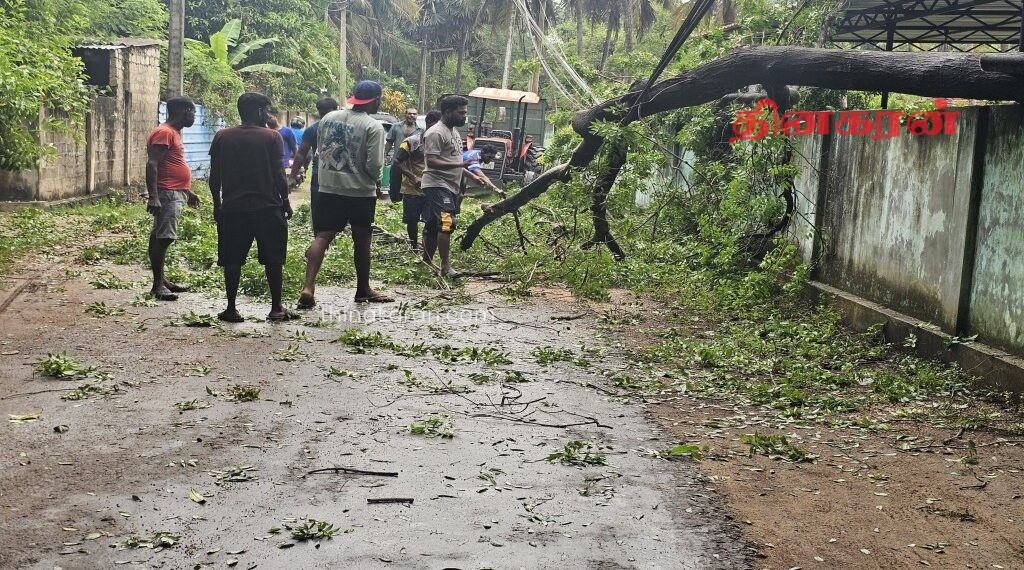 சீரற்ற காலநிலையால் வீதிக்கு குறுக்கே முறிந்து விழுந்த வேம்பு.!