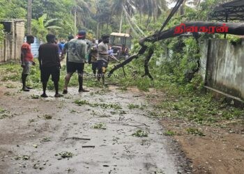 சீரற்ற காலநிலையால் வீதிக்கு குறுக்கே முறிந்து விழுந்த வேம்பு.!