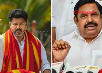 தமிழக வெற்றிக் கழகத்துக்கான ஆதரவால் பிளவை எதிர்நோக்குகிறதா அதிமுக?