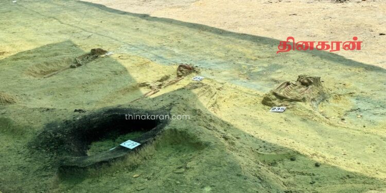 செம்மணி புதைகுழி அகழ்வில் மேலும் மூன்று மனித எலும்புக்கூடுகள் கண்டெடுப்பு.!