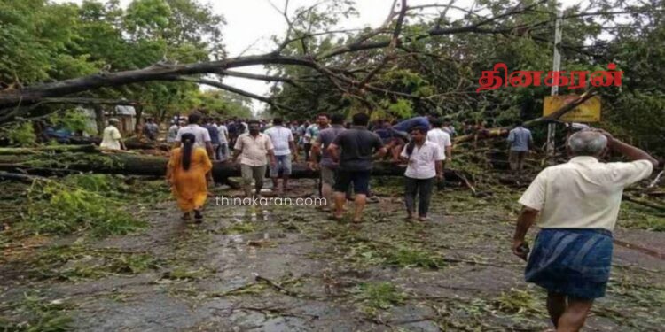 உத்தரப் பிரதேசத்தில் 111 பேர் உயிரிழப்பு.!