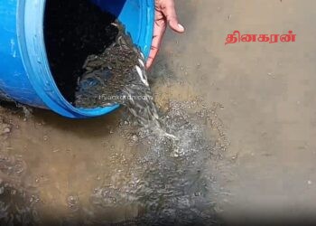 குளங்களில் மீன் குஞ்சுகளை விடும் திட்டம் ஆரம்பம்.!