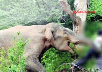 பணி முடிந்து வீடு திரும்பிய குடும்பஸ்தருக்கு நேர்ந்த துயரம்.!