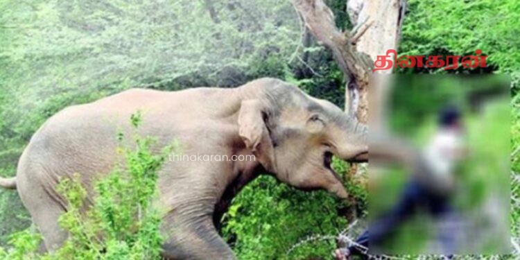 பணி முடிந்து வீடு திரும்பிய குடும்பஸ்தருக்கு நேர்ந்த துயரம்.!