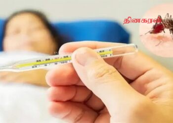 அதிவேகமாக உயரும் டெங்கு நோயாளர்களின் எண்ணிக்கை.!
