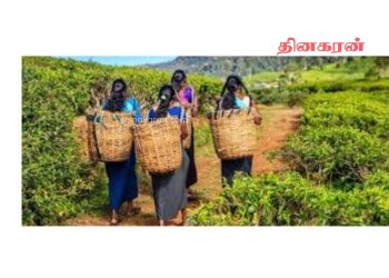 மலையக மக்களுக்காக அரசாங்கம் நிறைய செய்து வருகிறது – அமைச்சரவைப் பேச்சாளர்!