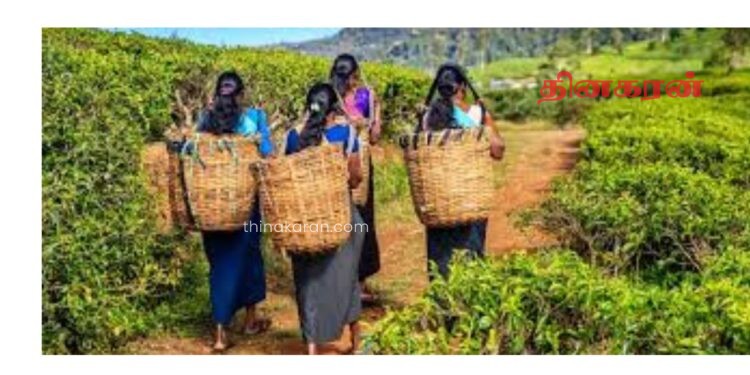 மலையக மக்களுக்காக அரசாங்கம் நிறைய செய்து வருகிறது – அமைச்சரவைப் பேச்சாளர்!