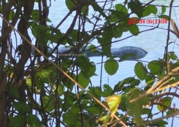 வாவியில் மிதந்த இரு ஆண்களின் சடலங்கள்; பொலிஸார் தீவிர விசாரணை.!