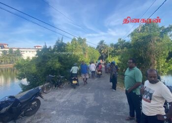 சின்னஉப்போடை களப்பு பகுதியில் இரண்டு சடலங்கள்  மீட்ப்பு!