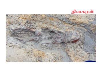3 எலும்புக்கூடுகள் புதிதாக அடையாளம் காணப்பட்டுள்ளது!