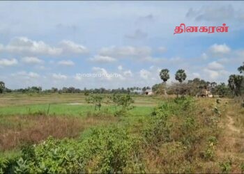 13 வயது விசேட தேவைக்குட்பட்ட சிறுமி ஒருவர் பல தடவைகள் து*ஷ் பிரயோகம்!