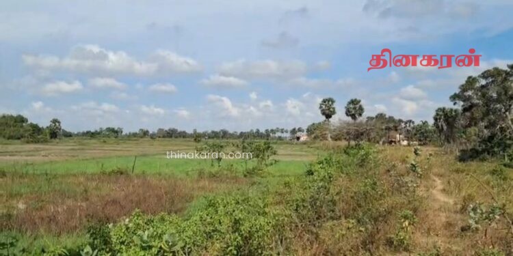 13 வயது விசேட தேவைக்குட்பட்ட சிறுமி ஒருவர் பல தடவைகள் து*ஷ் பிரயோகம்!