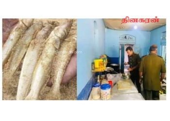 அழுகிய மீன்களில் மணல் கலந்து விற்பனை ; மக்கள் கவலை!