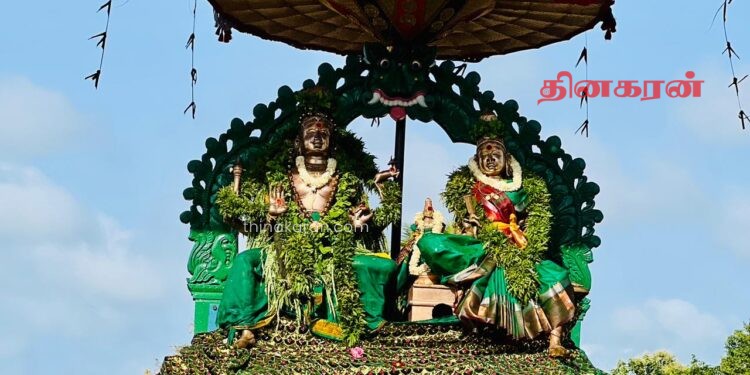 மன்னார் திருக்கேதீஸ்வரர் ஆலயத்தின் தேர்த்திருவிழா இன்று இடம்பெற்றது.