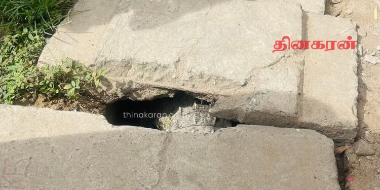 சாய்ந்தமருது பிரதான வீதியில் உள்ள வடிகாலில் முதலை!