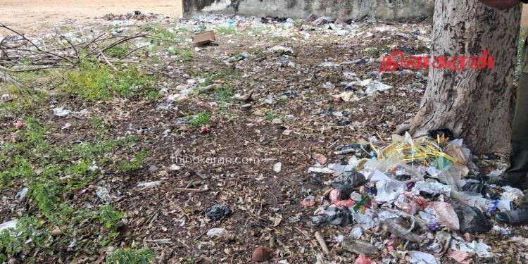 பாடசாலைகளின் நுளம்பு கட்டுப்பாட்டு மற்றும் டெங்கு ஒழிப்பு தொடர்பான விசேட பரிசோதனை!