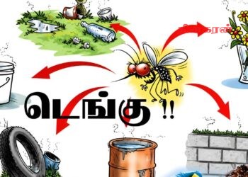 ஜூன் மாதம் 09ம் திகதி தொடக்கம் 12ம் திகதிவரை விசேட டெங்கு கட்டுப்பாட்டு வாரம் – அரசாங்க அதிபர் தெரிவிப்பு!