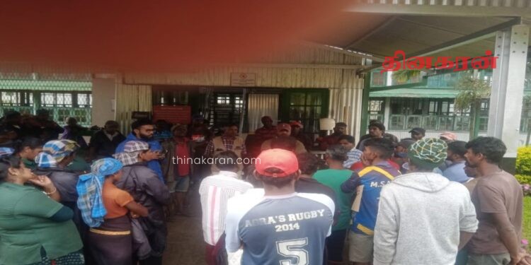 தொழிலாளர்களிடம் அதிக கொழுந்து பறிக்குமாறு உத்தரவு.!