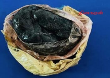 நாகர்கோவில் கிழக்கு காட்டுப் பகுதியில் போதைப்பொருள் மீட்பு.!