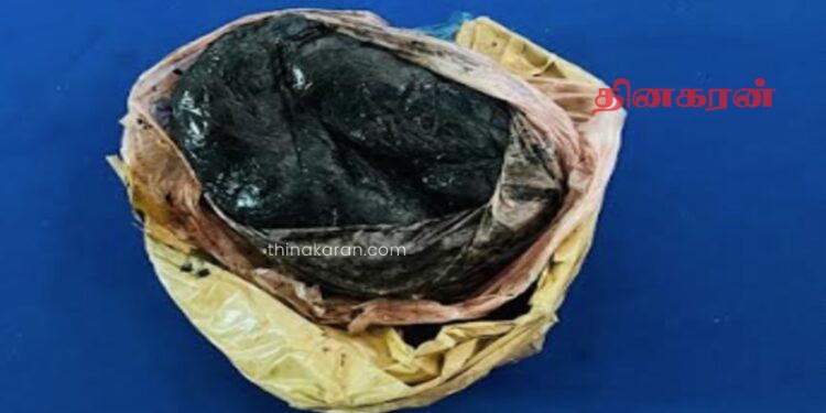 நாகர்கோவில் கிழக்கு காட்டுப் பகுதியில் போதைப்பொருள் மீட்பு.!