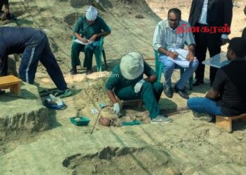 செம்மணிப் பேரவலம்; மனித எலும்புக்கூடுகளின் எண்ணிக்கை 302 ஆக உயர்வு.!