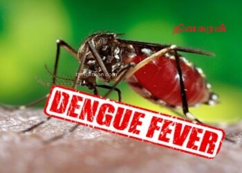 டெங்கு அபாயம் நாட்டில் தீவிரம்.!