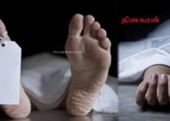 யானை தாக்கி பாகனும், உதவியாளரும் உயிரிழப்பு.!