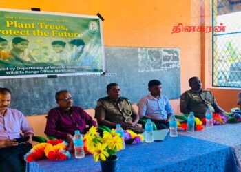 மனிதர்களின் செயற்பாடுகளால் யானைகளின் வாழ்விடங்கள் அழிக்கப்படுகின்றன.!