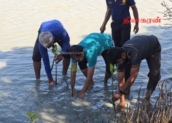 மன்னாரில் உலக சுற்றுச்சூழல் தினத்தை முன்னிட்டு கண்டல்த் தாவர நடுகை