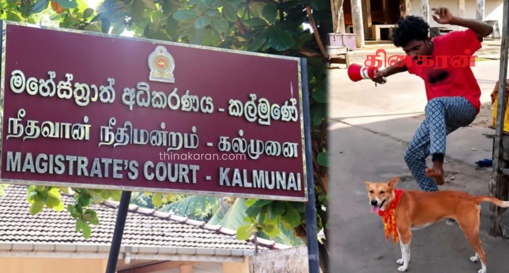 நாயை உதைத்து துன்புறுத்திய நபருக்கு பிணை.!