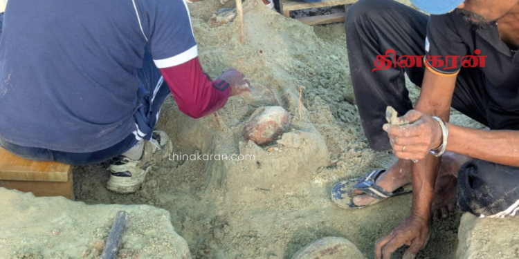 செம்மணி மனிதப் புதைகுழியில் உடைந்த மண்டையோட்டுக் குவியல்கள்.!