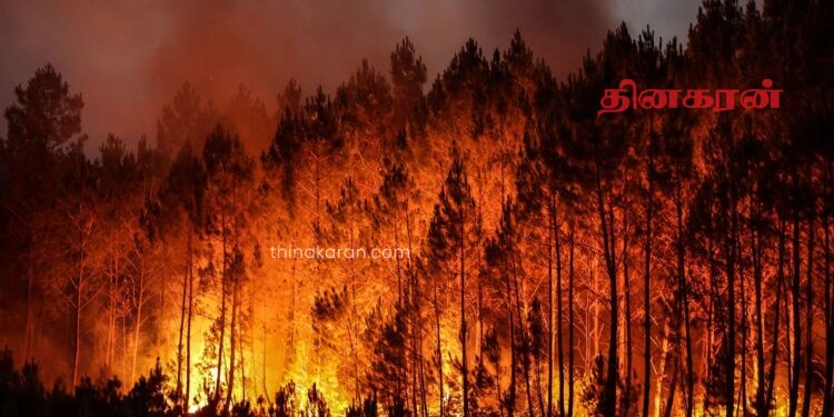 ஐரோப்பாவை உலுக்கும் காட்டுத்தீ!