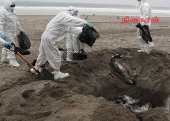 அவுஸ்திரேலியாவில் H5N1 பறவைக் காய்ச்சல் உறுதி!