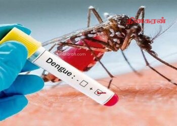 டெங்கு தீவிரம்; 39 பேர் உயிரிழப்பு.!